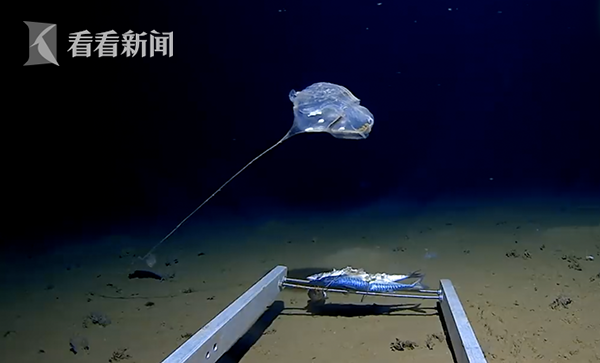 宇宙汉堡王每天晚上再不同星球度过3天怎么完成