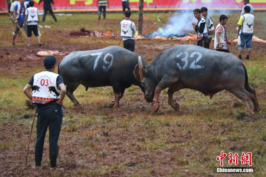赛道大师尾翼有什么用