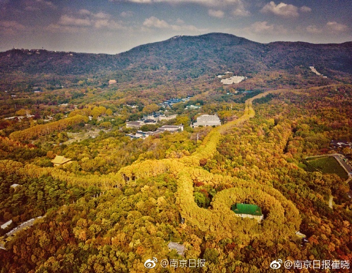 圣科托尔黄面具游戏有什么背景故事