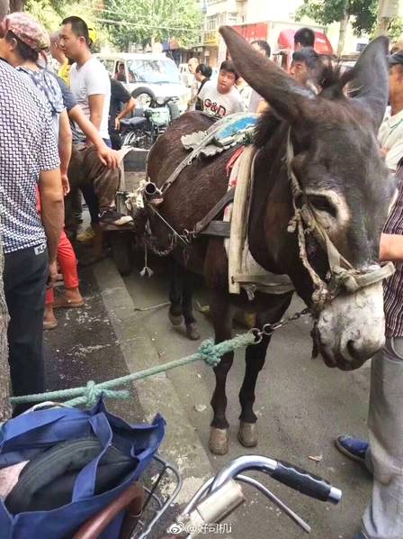 [大赢家比分]