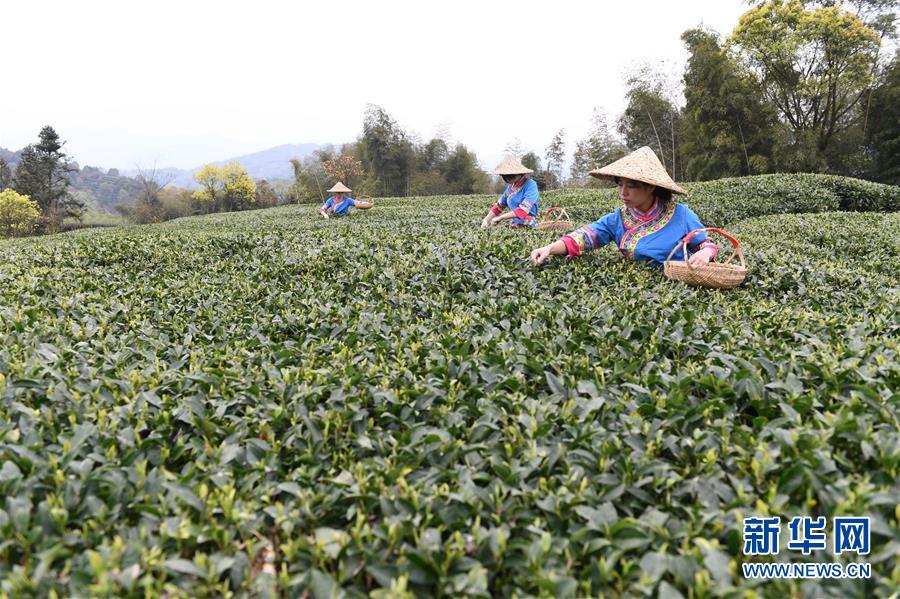 双人成行马桶塞塞乐迷你游戏在哪